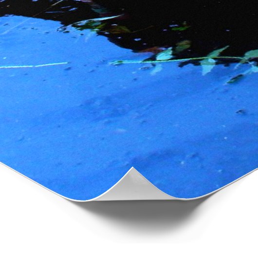 フラミンゴ踊り ポスター (角)