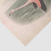 フラミンゴ飛んでいるバードエフエメラデクページ 薄葉紙 (詳細)