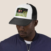 フラミンゴ キャップ (インサイチュ)