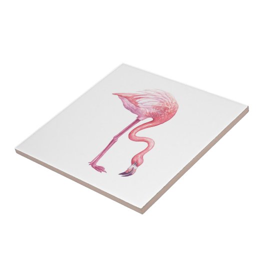 フラミンゴ タイル (側面)