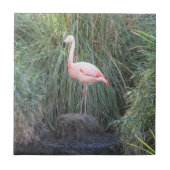 フラミンゴ タイル (正面)