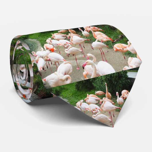フラミンゴ ネクタイ (ロール)