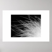 フラミンゴ ポスター (正面)