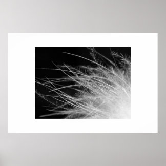 フラミンゴ ポスター