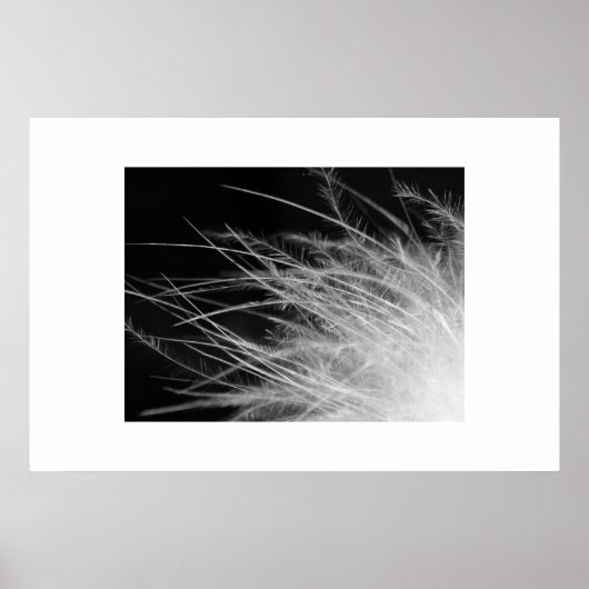 フラミンゴ ポスター (正面)