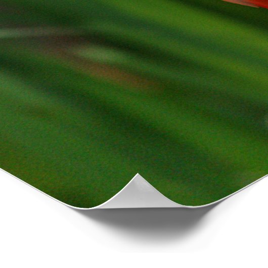 フラミンゴ ポスター (角)