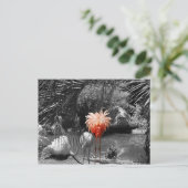 フラミンゴ ポストカード (スタンド正面)