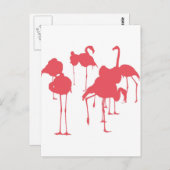フラミンゴ ポストカード (正面/裏面)