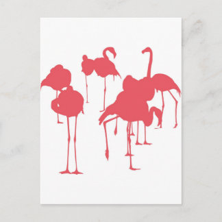 フラミンゴ ポストカード