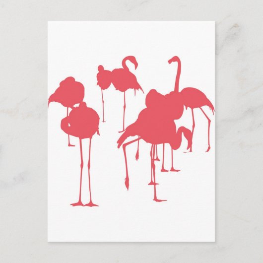 フラミンゴ ポストカード (正面)