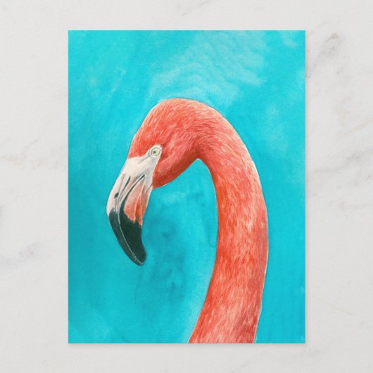 フラミンゴ ポストカード (正面)