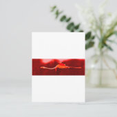 フラミンゴ ポストカード (スタンド正面)