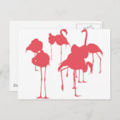 フラミンゴ ポストカード (正面/裏面)