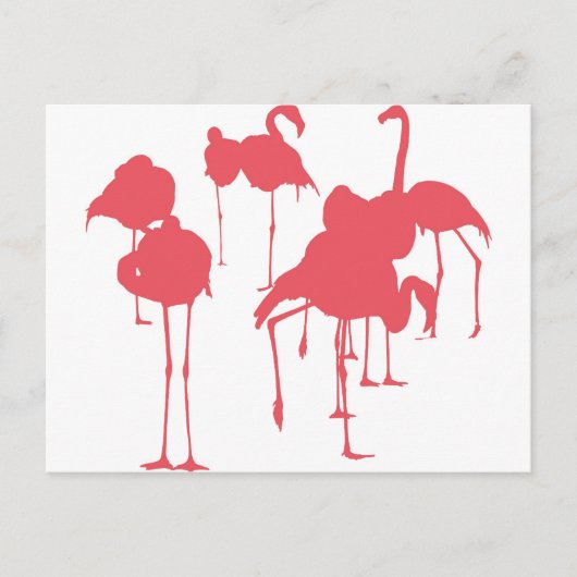 フラミンゴ ポストカード (正面)