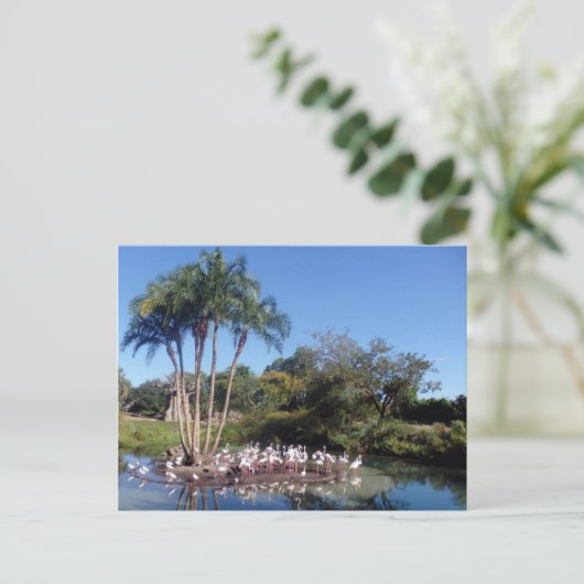 フラミンゴ ポストカード (スタンド正面)