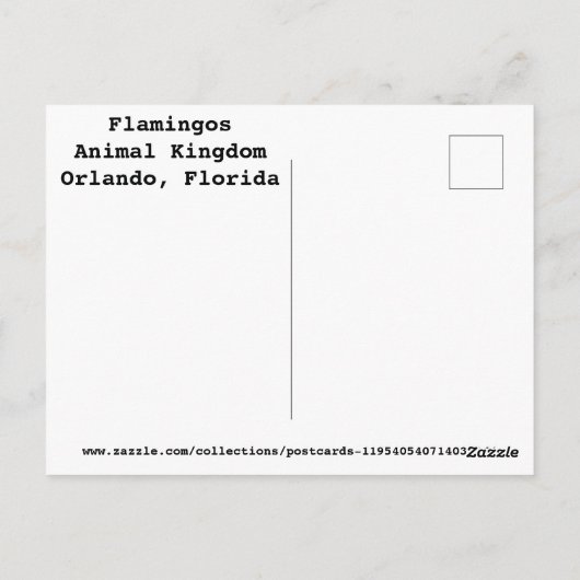フラミンゴ ポストカード (裏面)