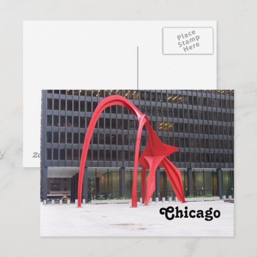 フラミンゴ ポストカード (正面/裏面)