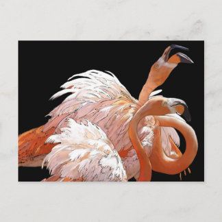 フラミンゴ ポストカード