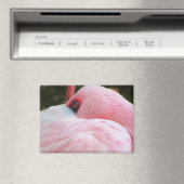 フラミンゴ マグネット (インサイチュ (食洗機))