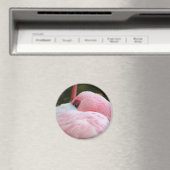 フラミンゴ マグネット (インサイチュ (食洗機))