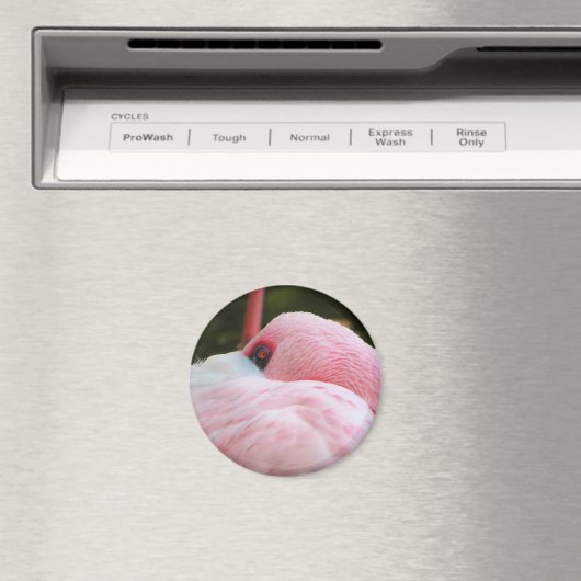 フラミンゴ マグネット (インサイチュ (食洗機))