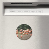 フラミンゴ マグネット (インサイチュ (食洗機))