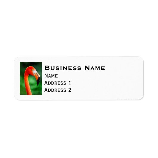 フラミンゴ ラベル (正面)