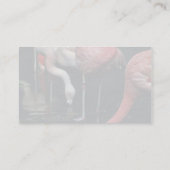 フラミンゴ 名刺 (裏面)