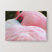 フラミンゴ 缶バッジ (正面)