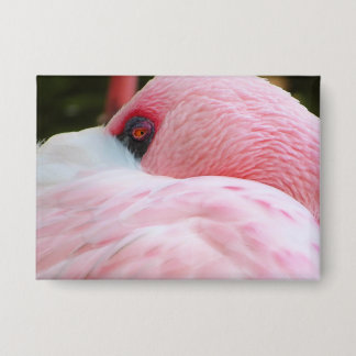 フラミンゴ 缶バッジ