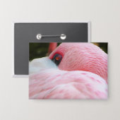 フラミンゴ 缶バッジ (正面/裏面)
