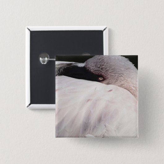 フラミンゴ 缶バッジ (正面&裏面)