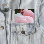 フラミンゴ 缶バッジ (インサイチュ)