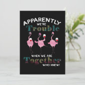 フラミンゴ | Flamingosの問題らしい サンキューカード (スタンド正面)