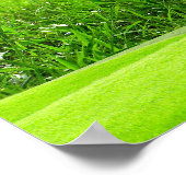 フラミンゴ – SRF ポスター (角)