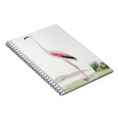 フラミ素晴らしンゴ ノートブック (右側)