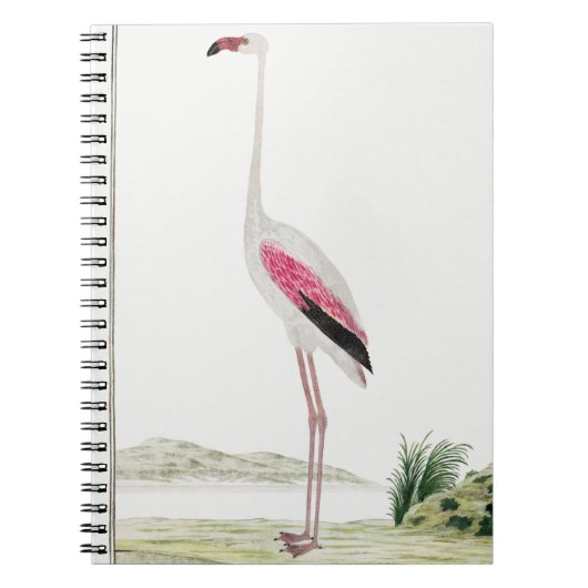 フラミ素晴らしンゴ ノートブック (正面)