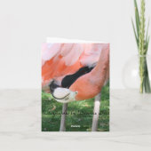 フラミ考えンゴの…カード カード (裏面)