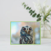 フラムクロウ ポストカード (スタンド正面)