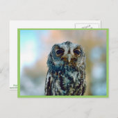 フラムクロウ ポストカード (正面/裏面)