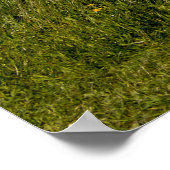 フラムボロー海岸 ポスター (角)