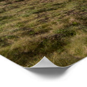 フラムボロー海岸 ポスター (角)