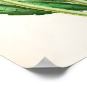 「フラムボーダリア」ヴィンテージイラストレーション ポスター (角)