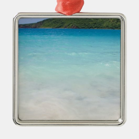 フラメンコのビーチCulebra メタルオーナメント (正面)
