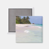 フラメンコビーチカレブラプエルトリコ マグネット (正面/裏面)