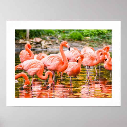 フラメンゴ ポスター (正面)
