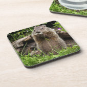 フラワーに食べる豚 コースター (左側)