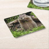 フラワーに食べる豚 スクエアペーパーコースター (アングル)