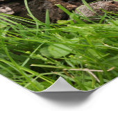 フラワーに食べる豚 ポスター (角)