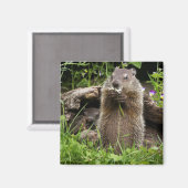 フラワーに食べる豚 マグネット (正面/裏面)